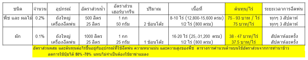 CostThai1