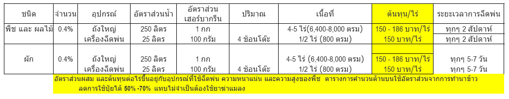 CostThai2