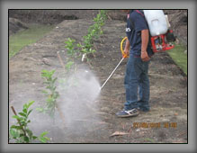 Spray-004