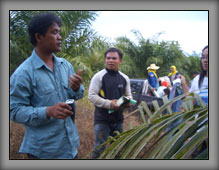 OilPalm02