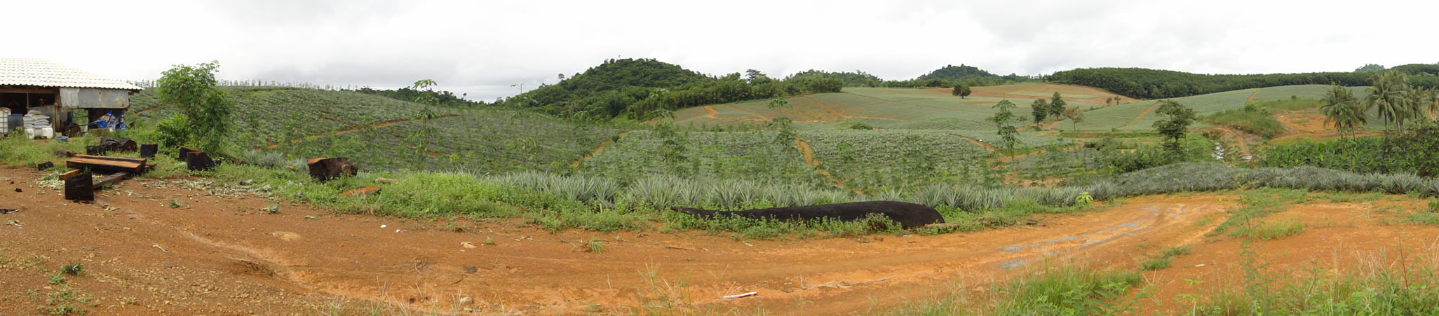 Landscape