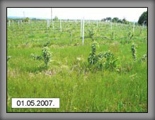 vrste_08_01a