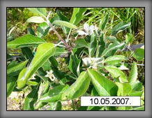 vrste_08_02a