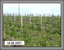 vrste_08_09a