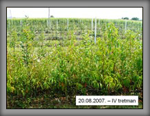 vrste_02_04a