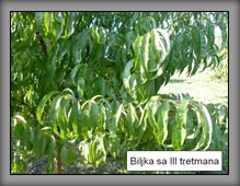 vrste_02_06a