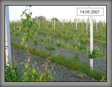 vrste_09_01a