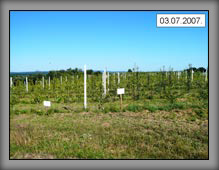 vrste_09_02a