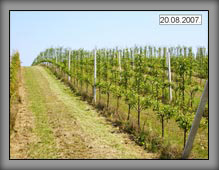 vrste_09_03a