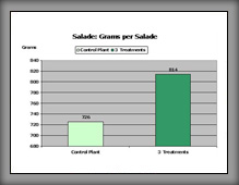 salade_11_01a