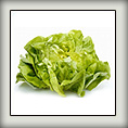 salade_11a