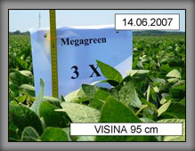 vrste_04_03a
