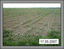 vrste_03_01a