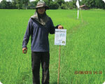 Frm06