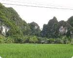 Frm14