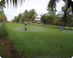 Frm16